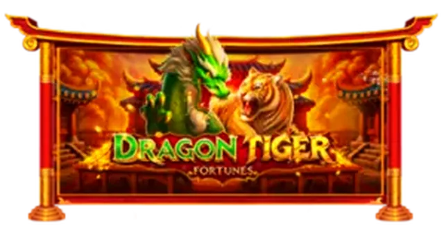 Dragon Tiger lava678