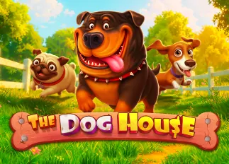 The Dog House lava678